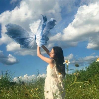 秘密菜园海报